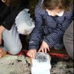 gallery_image_RVo4Y2hhZWlubXNnRW4yNmkzV3oxdz09