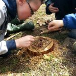 gallery_image_ZHVSYTY5Q3FpbHdoOFdJQmZMQ2VSQT09